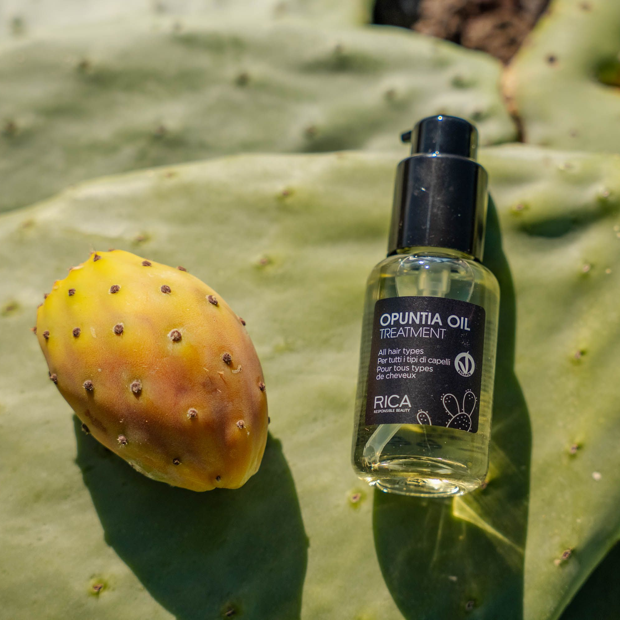 Opuntia Oil Pflege