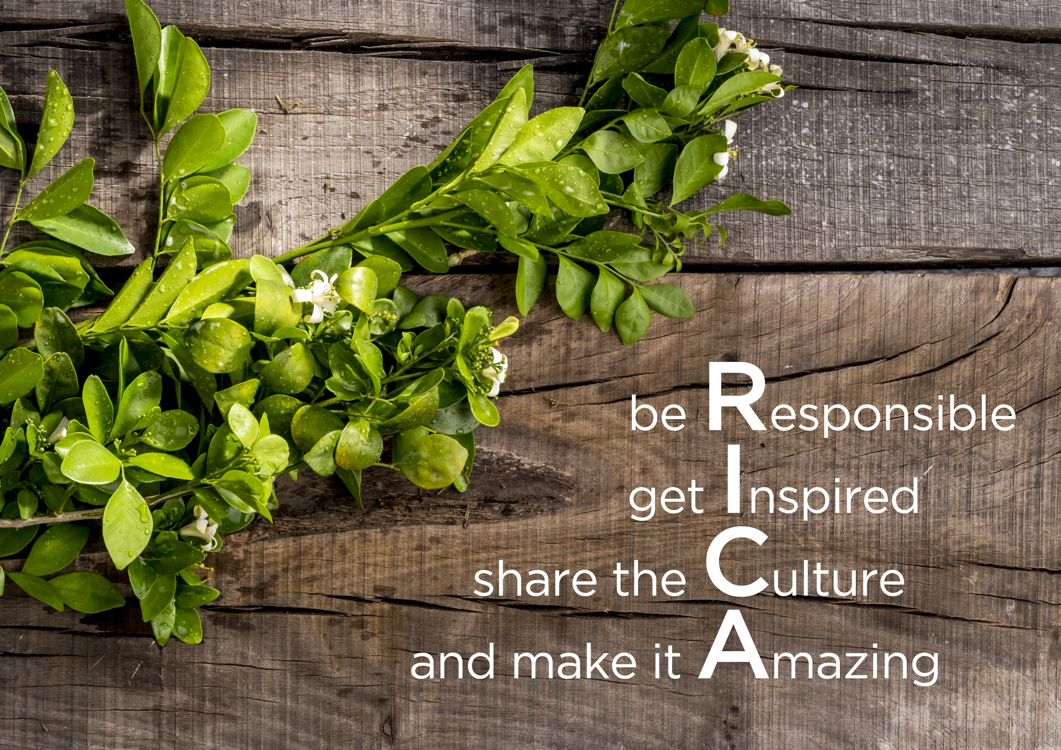 Rica Haircare Produkte